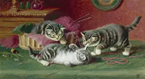 Couldery: Kittens at Play ' three kittens