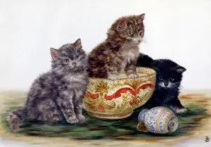 Toppled: Kittens at Play ' three kittens