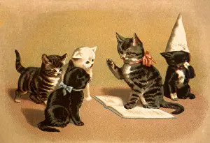 Instructs: Kittens Play School