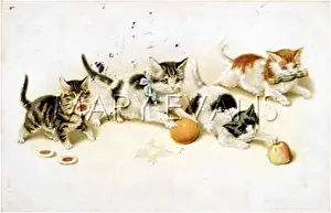 Tarts: KITTENS PLAYING 1907