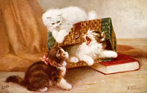 Beraud: Three kittens playing