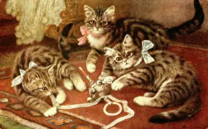 Babys: Three kittens playing with a baby's rattle