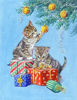 Baubles: Two kittens playing with Christmas parcels