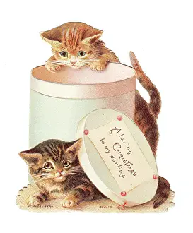 Hatbox: Two kittens playing with a hatbox on a Christmas card