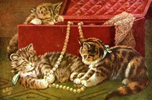 Beads: Three kittens playing with a jewellery box
