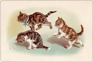 Leapfrog: Three kittens playing leapfrog on a greetings card