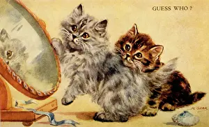 Puff: Two kittens playing with a mirror