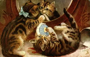 Puff: Two kittens playing with a mirror and powder puff