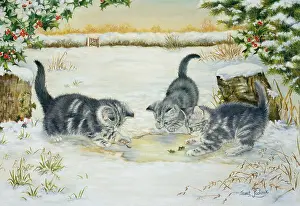 Pidoux: Three Kittens Playing in the Snow