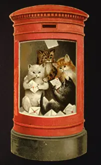 Postbox: Kittens in a postbox