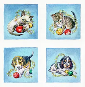 Baubles: Kittens and Puppies with Christmas Decorations