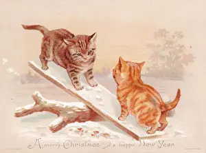 Seesaw: Two kittens seesawing on a Christmas card