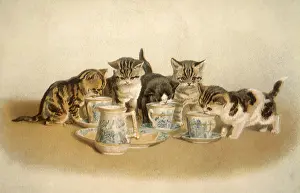 Teacups: Kittens Sipping Tea