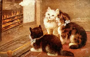 Steaming: Three kittens sitting in front of the fire