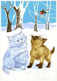 Snowscene: Two Kittens in the snow