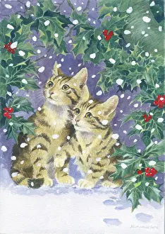 Samaraweera: Two kittens in the snow with ivy and holly