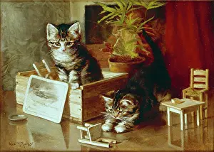 Tucker: Kittens ' two tabby kittens playing