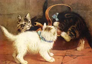 Teapot: Kittens and Teapot