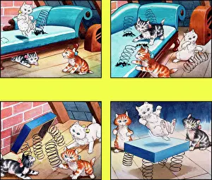 Trampoline: The Kitten's Trampoline