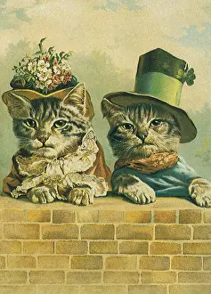 Ledge: Kitty Couple