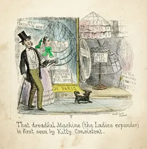 Crinolines: Kitty Spies a Crinoline