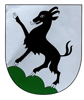 Kitzbuhel: Kitzbuehel, Coat of arms