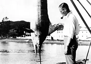 Kiwi: KIWI SWORDFISH CATCH