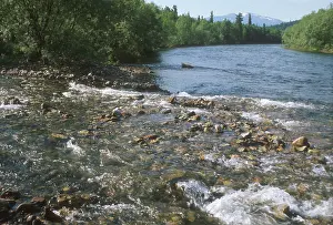 Streams: Kiya River upper reach, 1976
