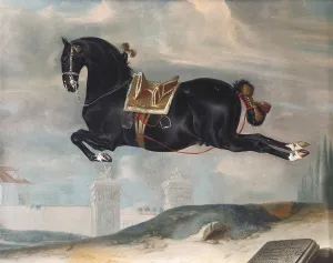 Studs: Kladrubian black horse