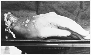 KLUSKI SPIRIT GLOVE