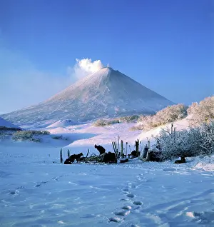 Vainstein: Klyuchevskoi Volcano on Kamchatka Peninsula, 1978