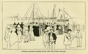 Potato: Two Knapsacks in the Channel Islands