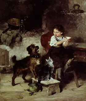 Katze: Knaus, Ludwig, (1829 - 1