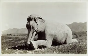 Dynastic: Kneeling Stone Elephant, Ming Tombs, Beijing