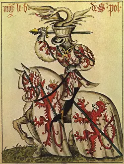 Surcoat: Knight of Golden Fleece