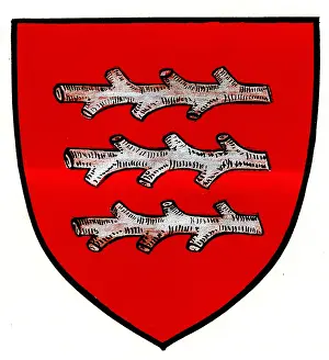 Boughs: Knittelfeld, Coat of arms