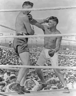 Bare Chested: The knockout blow in the Jack Dempsey-Jess Willard