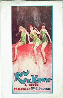 Rotherham: Now We Know revue by George Campbell