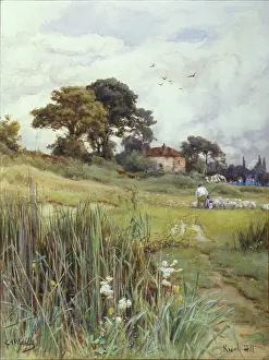 Waterlow: Knowle Hill ' landscape with flock of sheep