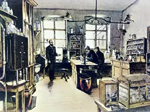 Experimentation: KOCH, Robert (1843-1910). German physician, discoverer