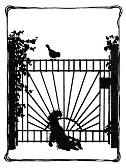 Crust: Koko squeezes under the gate