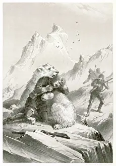 Helpless: KOLDEWEY/BEAR ATTACK