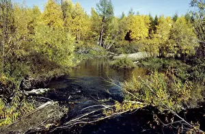 Ilyenko: Kolyma River in autumn, 1983