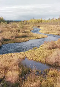 Russias: Kolyma river in autumn