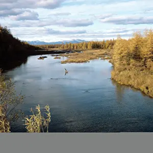 Ilyenko: Kolyma River scenery, 1981