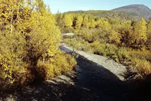 Ilyenko: Kolyma River scenery, 1983