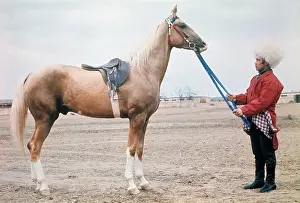 Komsomol: Komsomol stud farm, 1970
