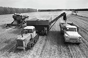 Unloading: Komsomolsky state farm