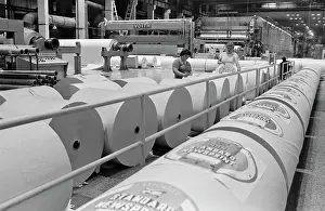 Produce: Kondopoga Pulp and Paper Mill
