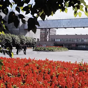 Kirov: Kondopoga pulp and paper mill, 1977